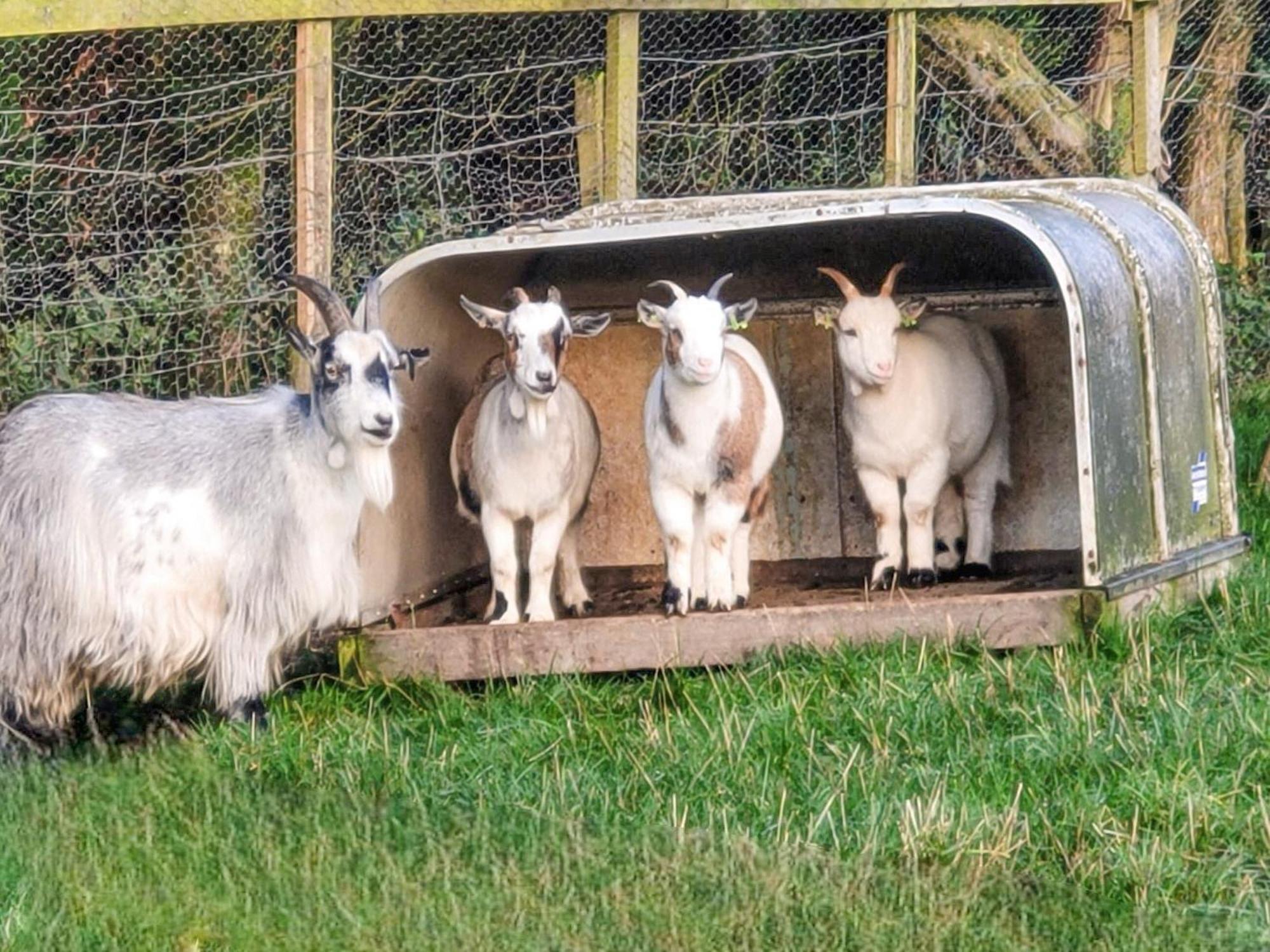 Bondcroft Farm Cottage Embsay Bagian luar foto